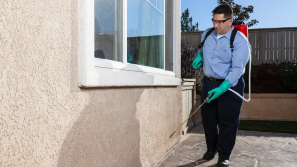 Spring Pests Are Back—and They’re Bringing Trouble: What Every Homeowner Needs to Know
