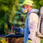 Spring Pests: What&rsquo;s Buzzing, Crawling, and Hopping Around Your Garden?