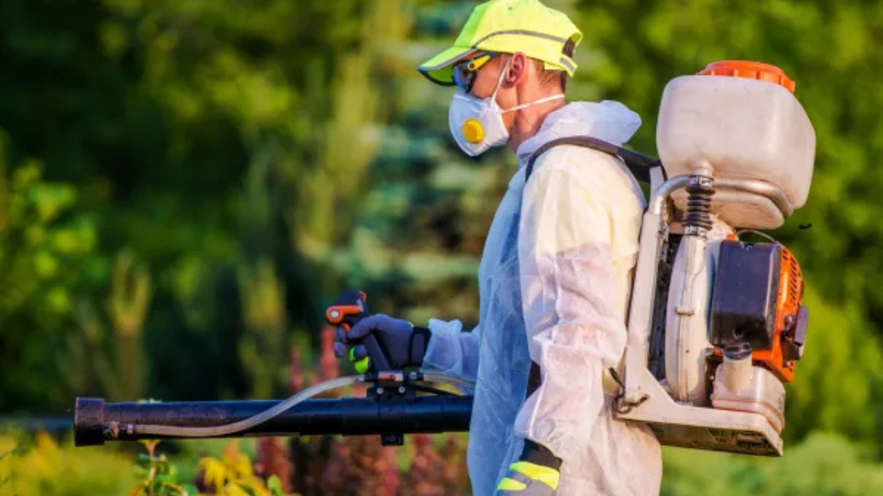 Ultimate Guide to Pest Control in Fresno: Comprehensive Services, Costs, and Year-Round Protection for Homeowners and Businesses