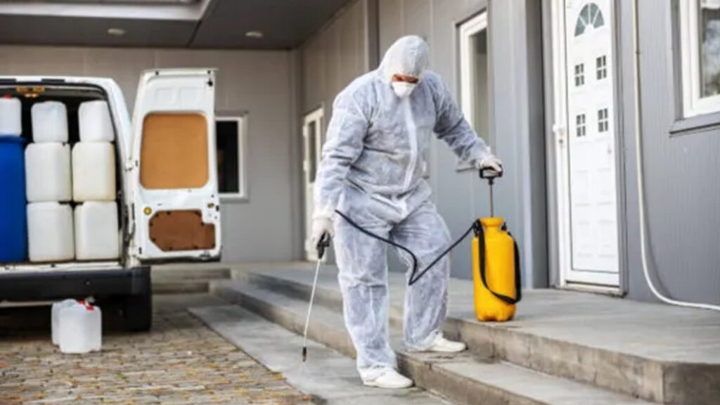 Battling Household Pests: Your Ultimate Defense Guide battling household pests your ultimate defense guide