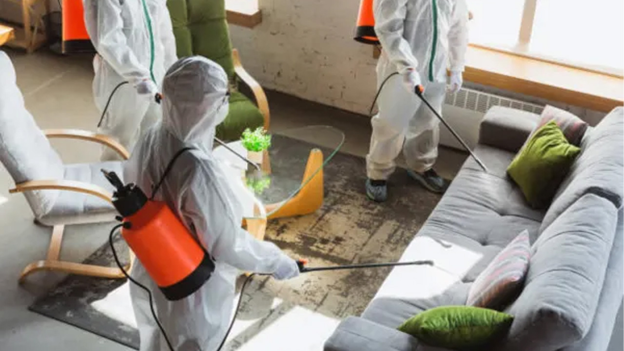 Pest control professionals applying eco-friendly treatment