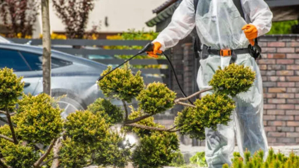 Exploring the Role of Professional Pest Control Services in Home Maintenance exploring the role of professional pest control services in home maintenance