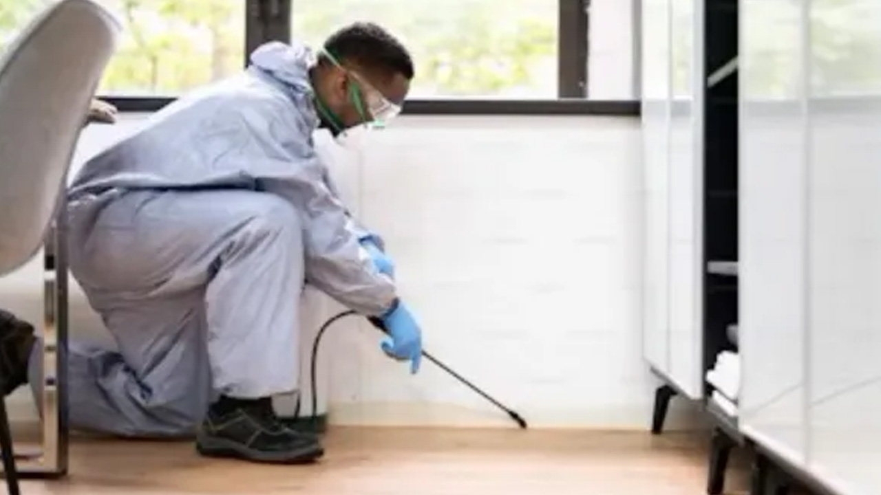 Pest control technician working indoors