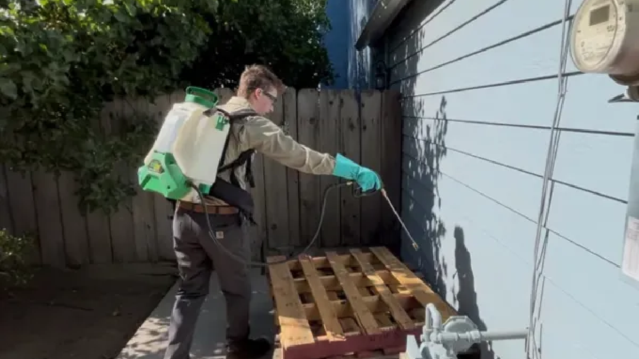 why general spraying is the first line of defense against pests