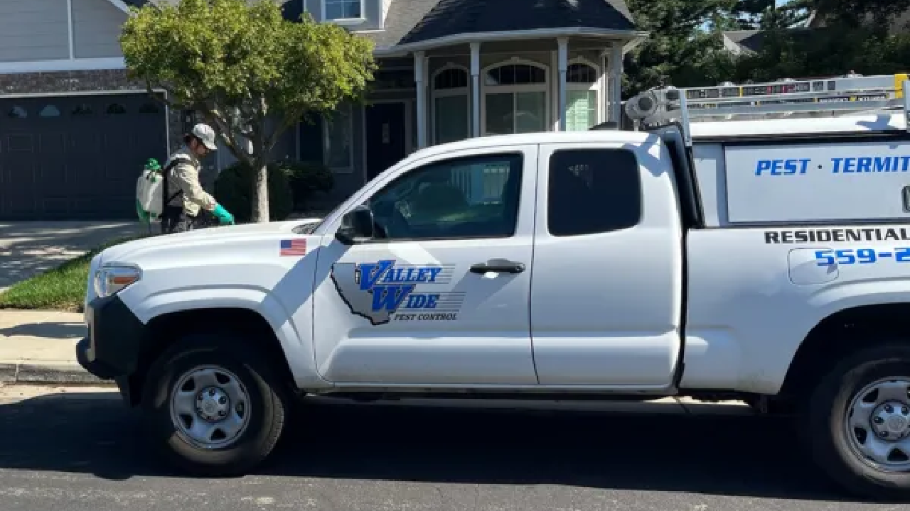 why summer is the time to call in the pros the importance of hiring pest control experts like valley wide pest control