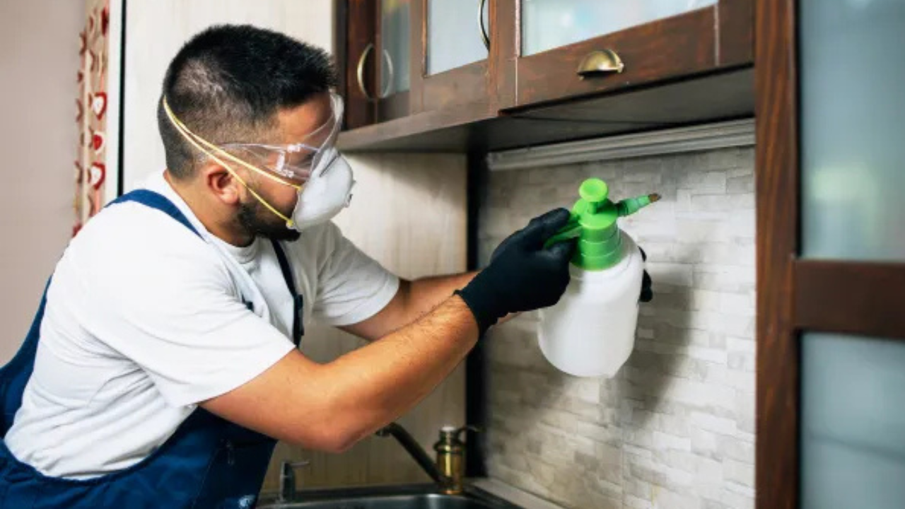 Pest control professional spraying kitchen