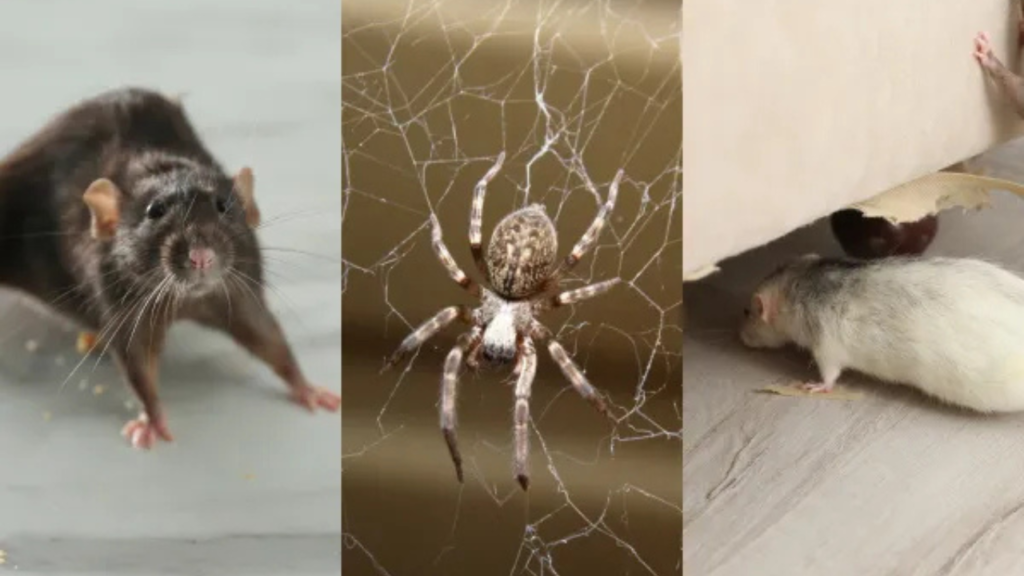 The Top 3 Worst Winter Pests—and How to Keep Them Out for Good