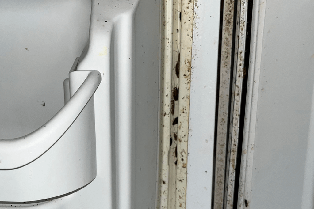 Refrigerator door grime