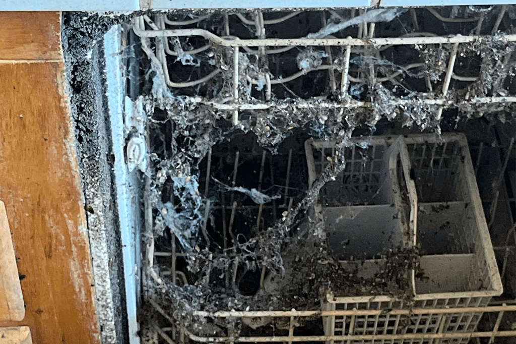 Full Property Protection Dirty dishwasher interior