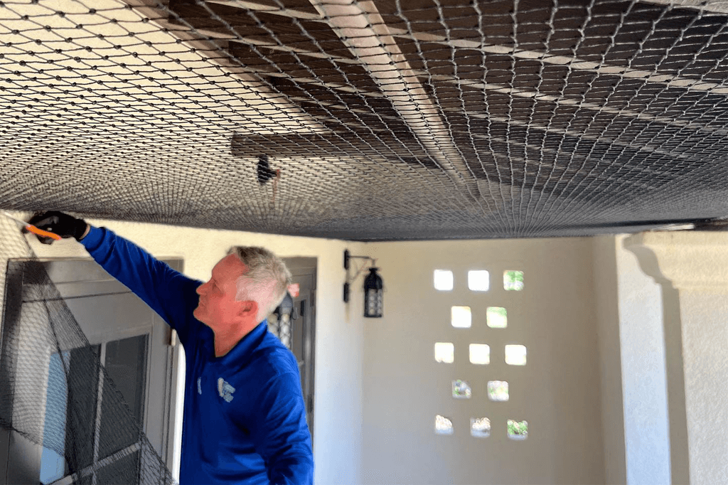 Full Property Protection Pest control technician installing netting