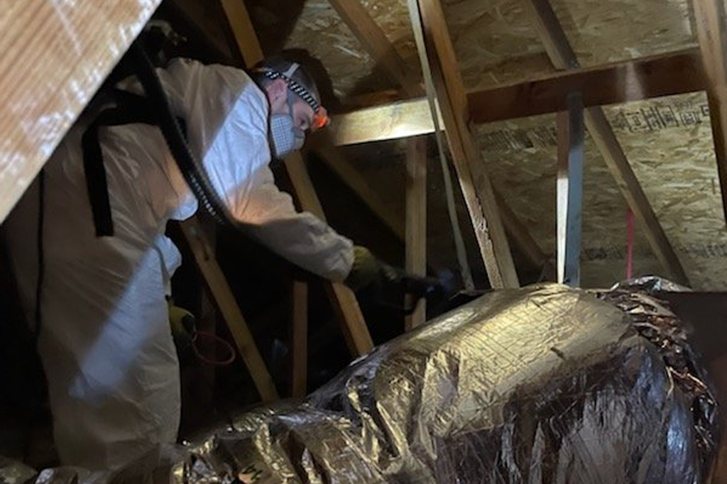 Pest control technician working in attic