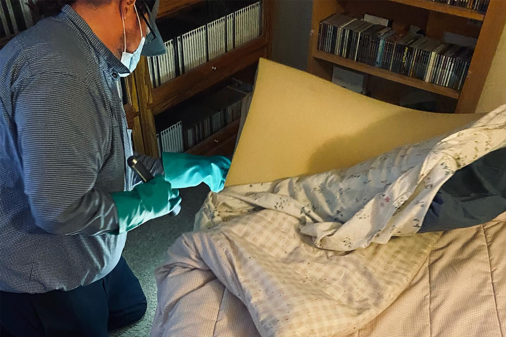 Pest control technician inspecting bedding