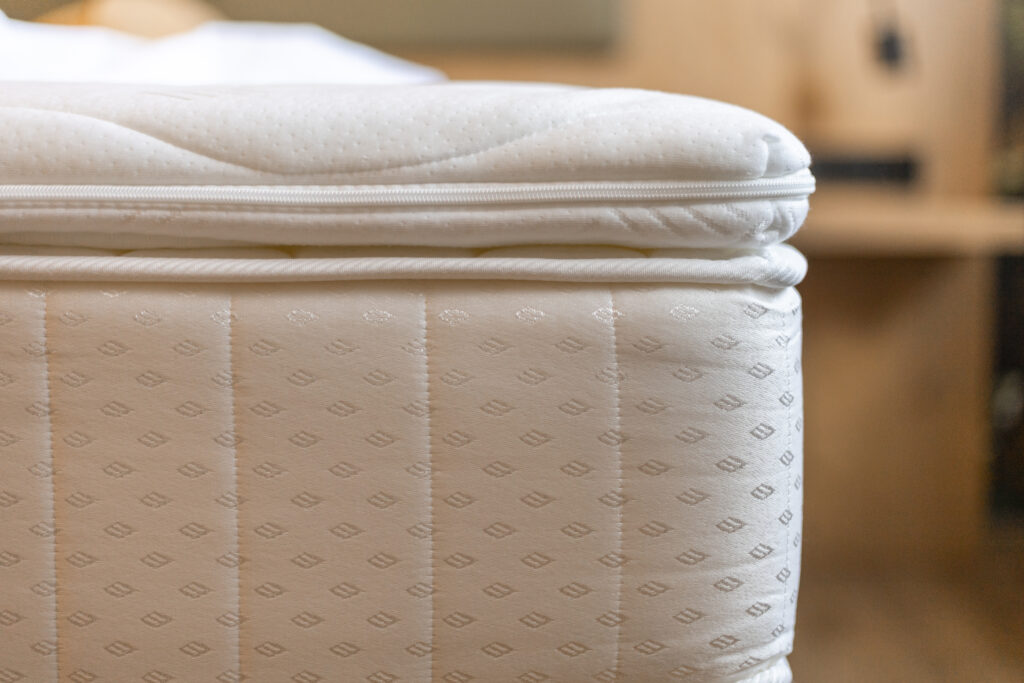 Mattress bed bug inspection
