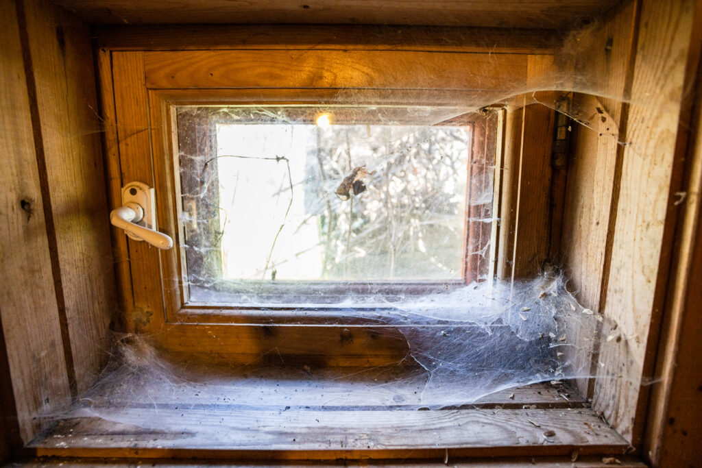 Dusty window with cobwebs