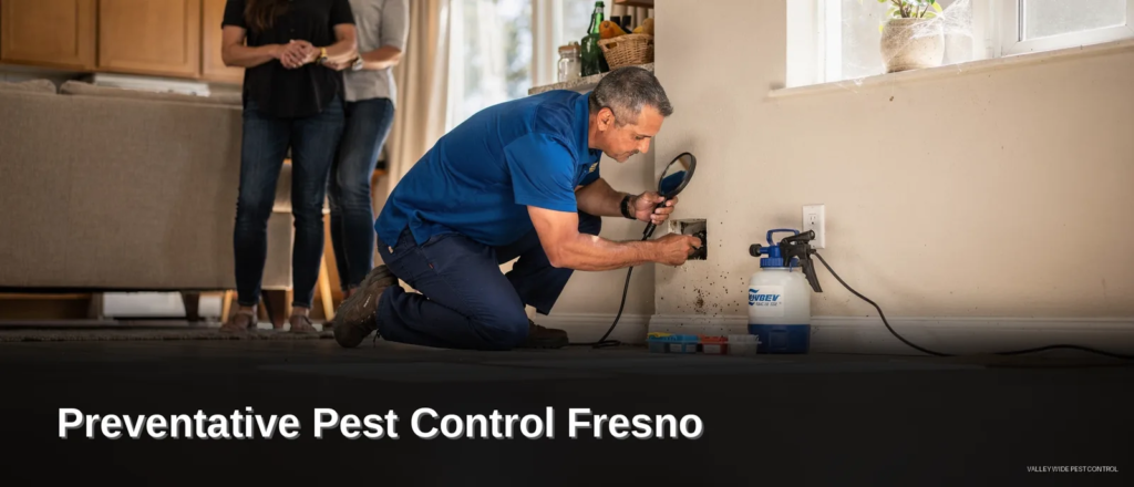 Preventative Pest Control Fresno: Residential and Commercial Pest