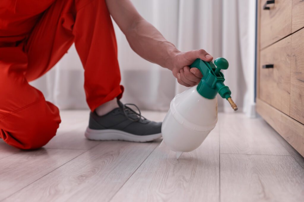 Pest control spray application